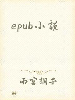epub小说