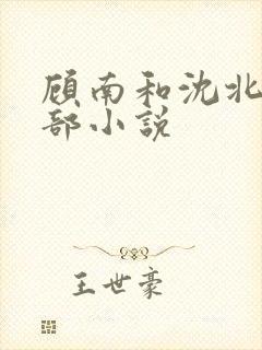 顾南和沈北是哪部小说