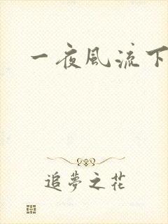 一夜风流下载