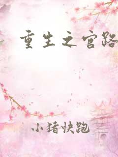 重生之官路情长