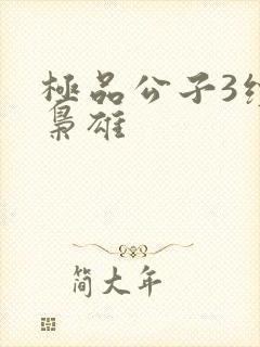 极品公子3续世枭雄