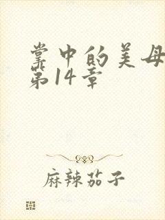 掌中的美母版主第14章