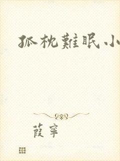 孤枕难眠小说