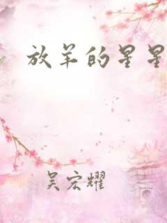 放羊的星星续集