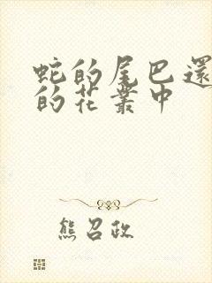 蛇的尾巴还在我的花丛中
