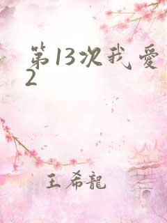 第13次我爱你2
