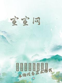 宣宣网