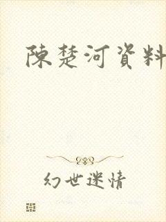 陈楚河资料