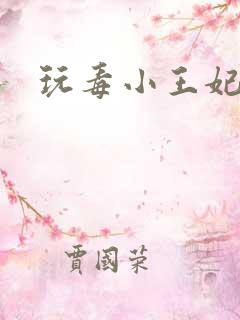 玩毒小王妃