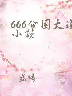 666公园大道小说