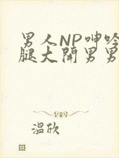 男人NP呻吟双腿大开男男小说