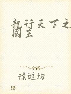 龙行天下之真假国主