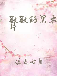 兽兽的黑木耳照片