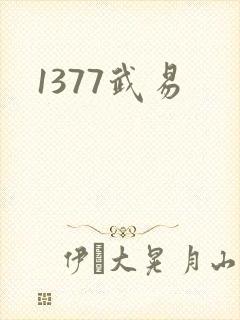 1377武易