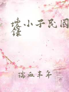 坏小子民国穿越录