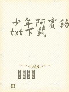 少年阿宾的故事txt下载