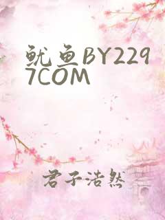 鱿鱼BY2297COM