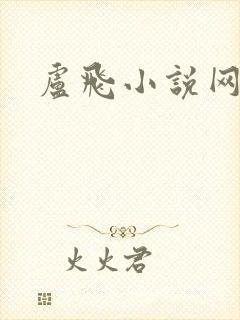 卢飞小说网