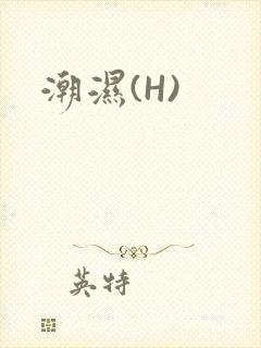 潮湿(H)