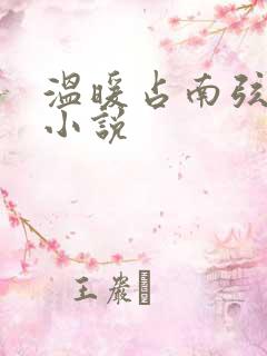 温暖占南弦尹衿小说