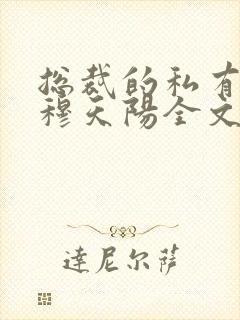 总裁的私有宝贝穆天阳全文阅读