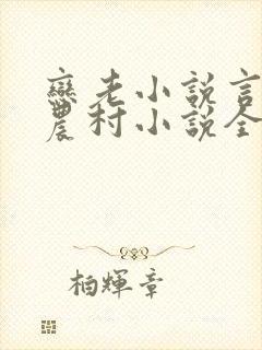 恋老小说言情网农村小说全文阅读