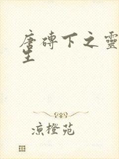 唐砖下之灵域双生