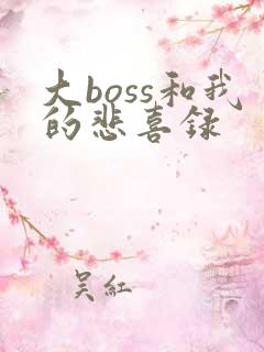 大boss和我的悲喜录