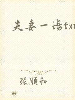 夫妻一场txt