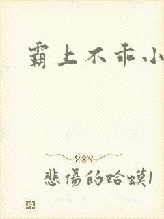 霸上不乖小逃妻