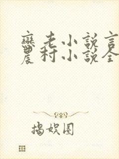 恋老小说言情网农村小说全文阅读