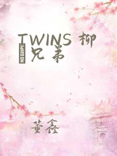 TWINS 柳澤兄弟