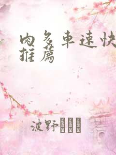 肉多车速快的书推荐