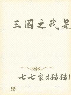 三国之我是华雄