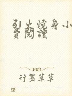 引火烧身小说免费阅读