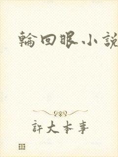 轮回眼小说