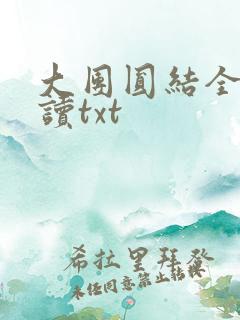 大团圆结全文阅读txt