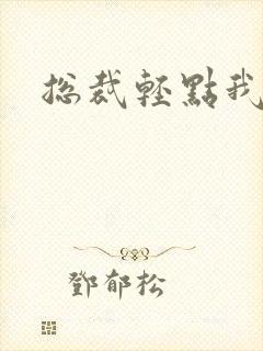 总裁轻点我怕疼