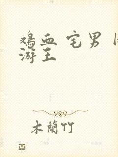 鸡血 宅男 网游王