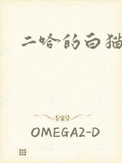 二哈的白猫师尊