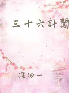 三十六计闯官场