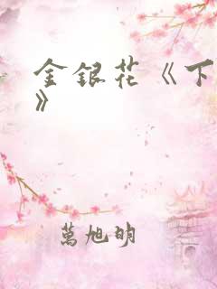 金银花《下厨房》