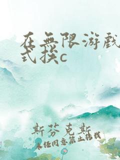 在无限游戏里花式挨c