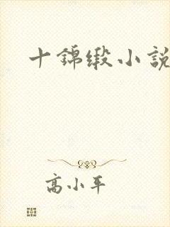 十锦缎小说