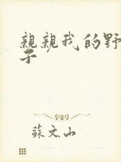 亲亲我的野猪王子