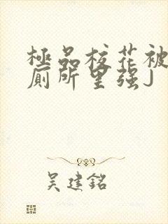 极品校花被拉到厕所里强J