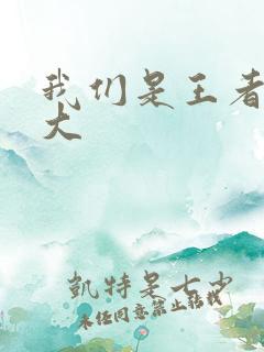 我们是王者立海大