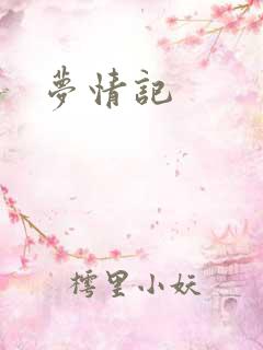 梦情记