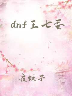 dnf王七蛋