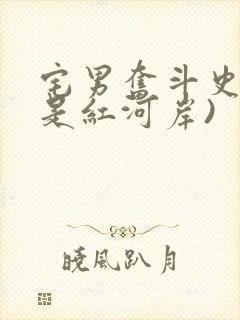 宅男奋斗史(天是红河岸)